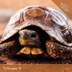 Diluted (Slow Motionized Version)