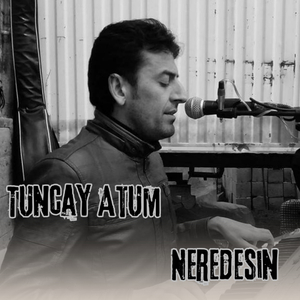 Neredesin