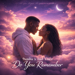 Do You Remember (feat. Robin)