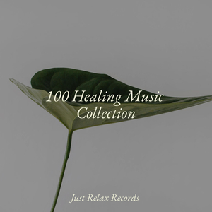 Blossoming Paradise Voyage