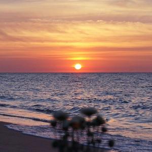 下雨的时候(萨克斯版)