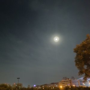 指纹