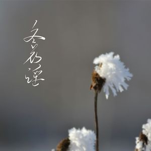 冬花谣