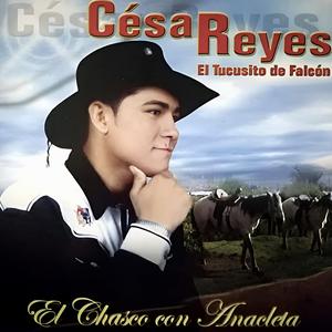 Por Culpa De La Fiestecita