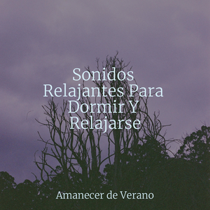 Flujo Rítmico de Secretos