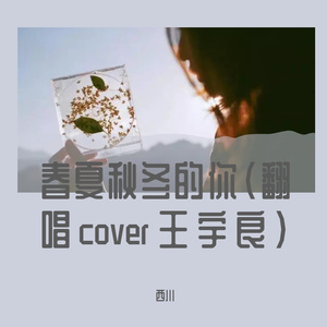 春夏秋冬的你（翻唱cover王宇良）
