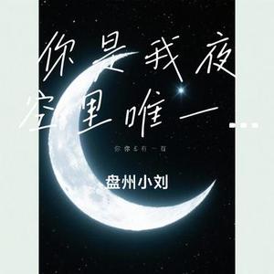 你是我夜空里唯一的月亮