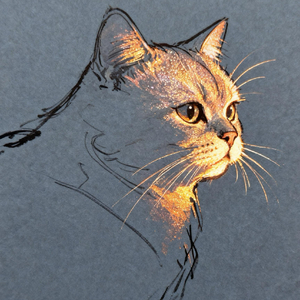 爱被具象化的时刻