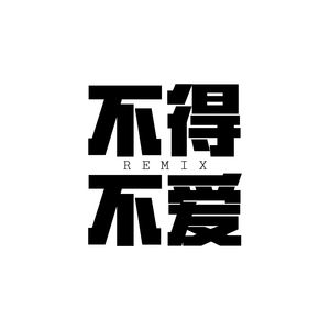 不得不爱remix