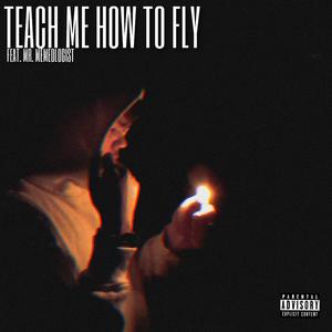 Teach Me How To Fly (feat. Mr.Memeologist)
