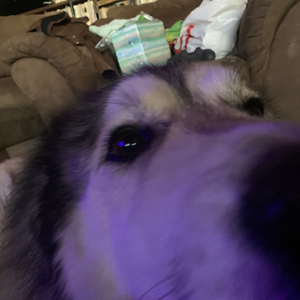 Over Tha Edge (feat. Zeunner)