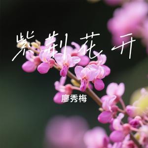 紫荆花开