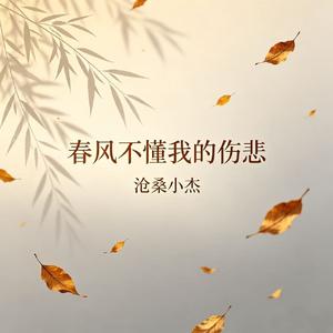 春风不懂我的伤悲