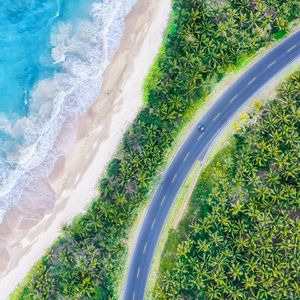 逆风之焰：献给张雪