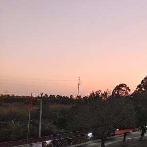 容易受伤的女人