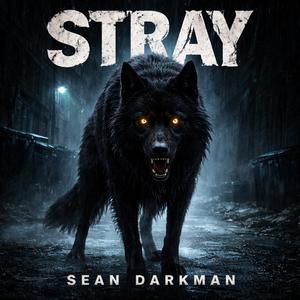 Stray