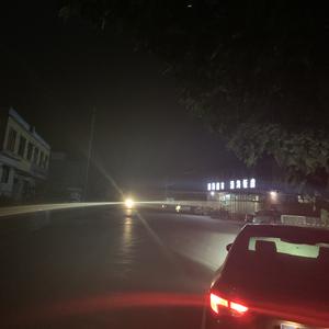 每年桃花开的时候