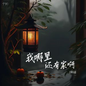 我哪里还有家啊