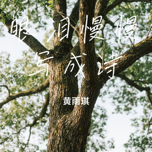 眼泪慢慢写成诗