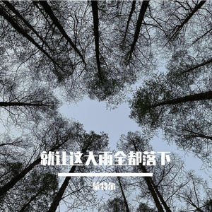 就让这大雨全都落下