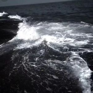 visions of gideon（改纯音乐）