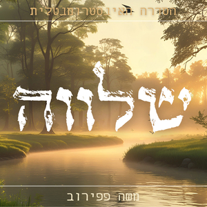 שלווה (הסדרה האינסטרומנטלית)