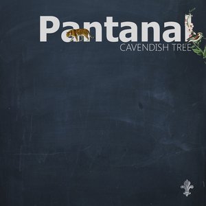 Pantanal