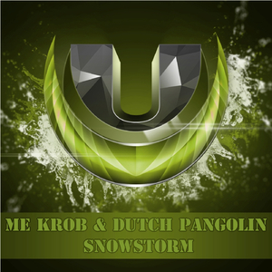 Snowstorm (Original Mix)