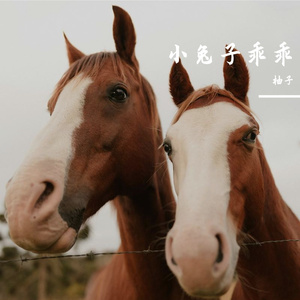 小兔子乖乖（儿歌）