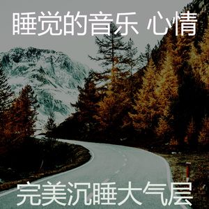 抚慰的睡眠回忆