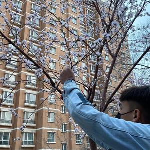 我本想边走边爱，可你一个人就挡住了人山人海。