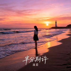 半分期许