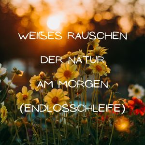 Melodie der nächtlichen Stille (Endlosschleife)
