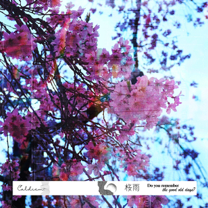 桜雨