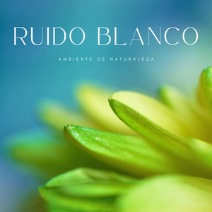 Ruido Blanco