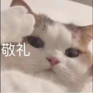 一封写给大花的信