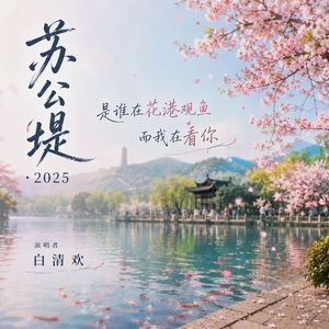 苏公提2025（白清欢）
