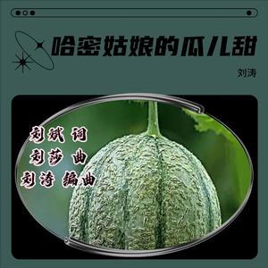 哈密姑娘的花儿甜 伴奏