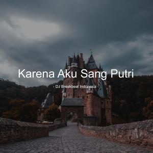 Karena Aku Sang Putri