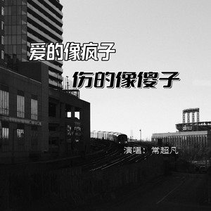 爱的像疯子伤的像傻子