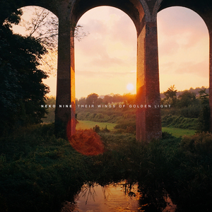 Their Wings of Golden Light