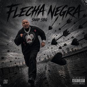 Flecha Negra