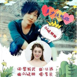 紫衣 - 多少次想你 Dj晓朋版