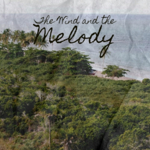 Red in the Sky - Drone