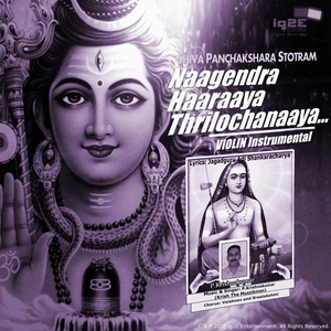 Naagendra Haaraaya Thrilochanaaya (Violin Instrumental)
