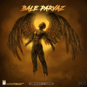 BALE PARVAZ