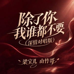 除了你我谁都不要(深情对唱版)