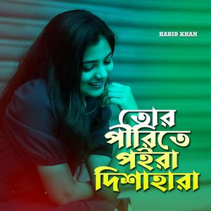 তোর পীরিতে পইরা দিশাহারা