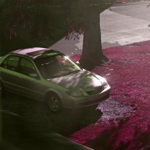 absolute monster (feat. Skyler Subiaco & Evanem)