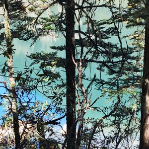 没有人不比我快乐